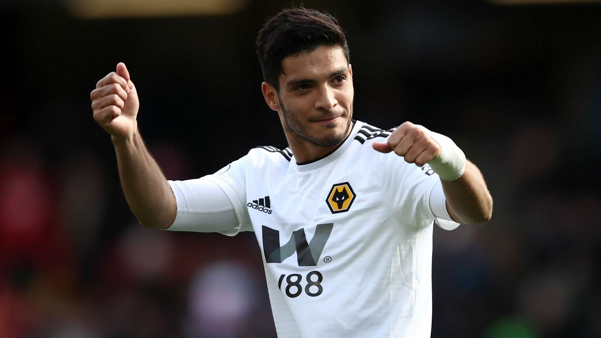 Raul JImenez Wolves