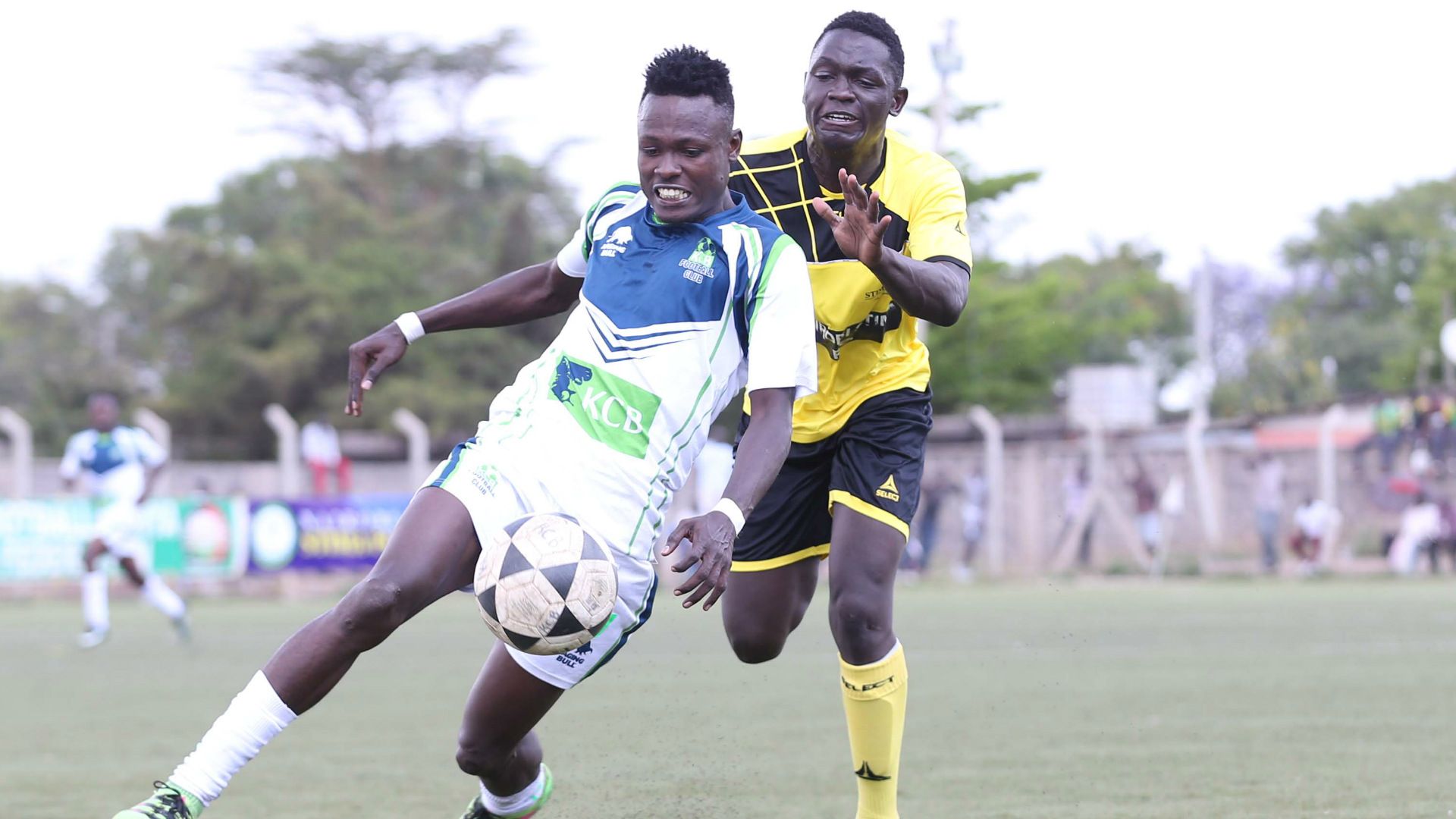 KCB v Nairobi Stima.