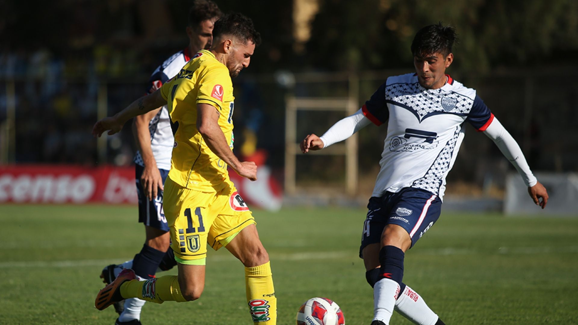 Universidad de Concepción - Recoleta