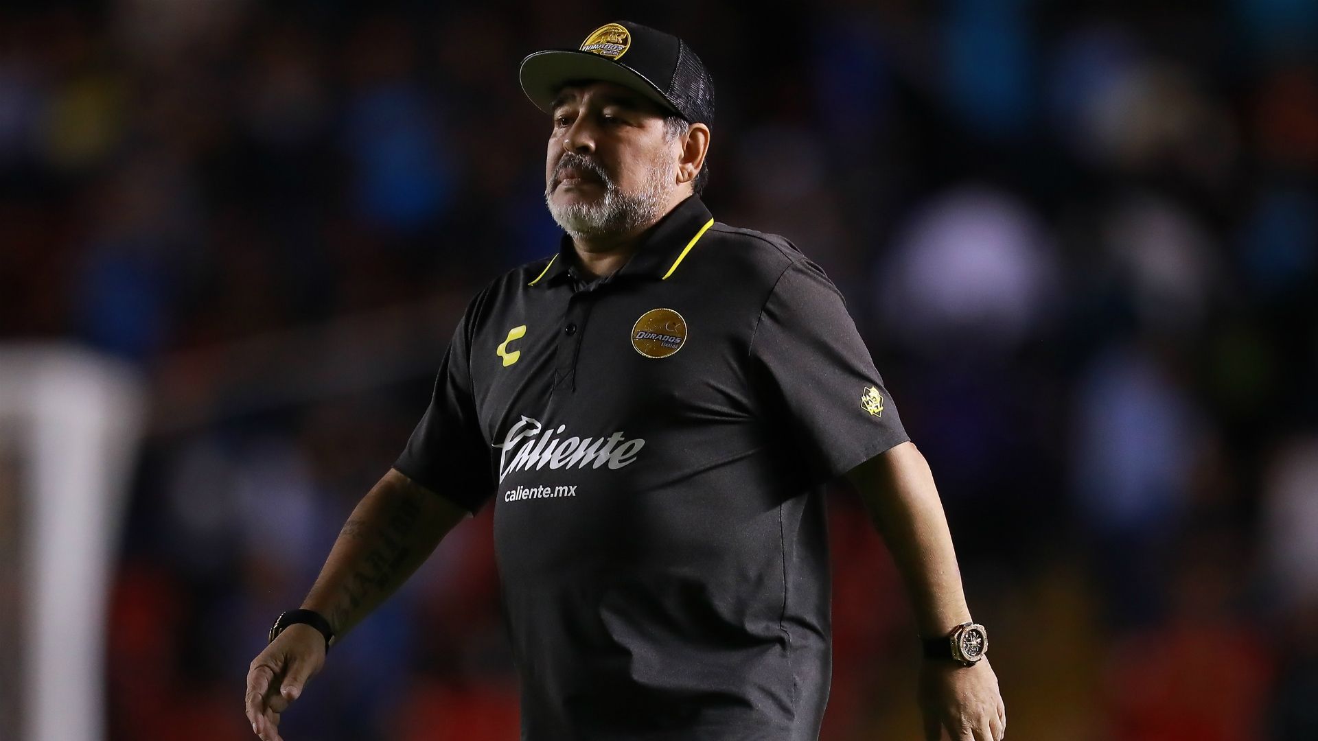 Diego Maradona Dorados