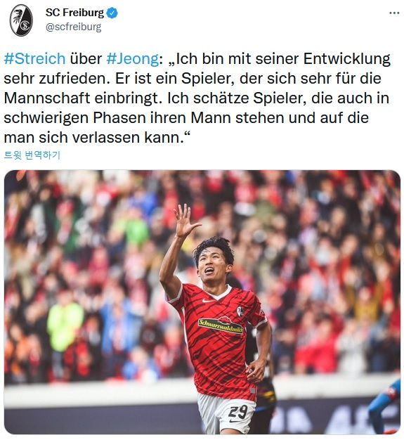 정우영에 대한 슈트라이히 감독 코멘트