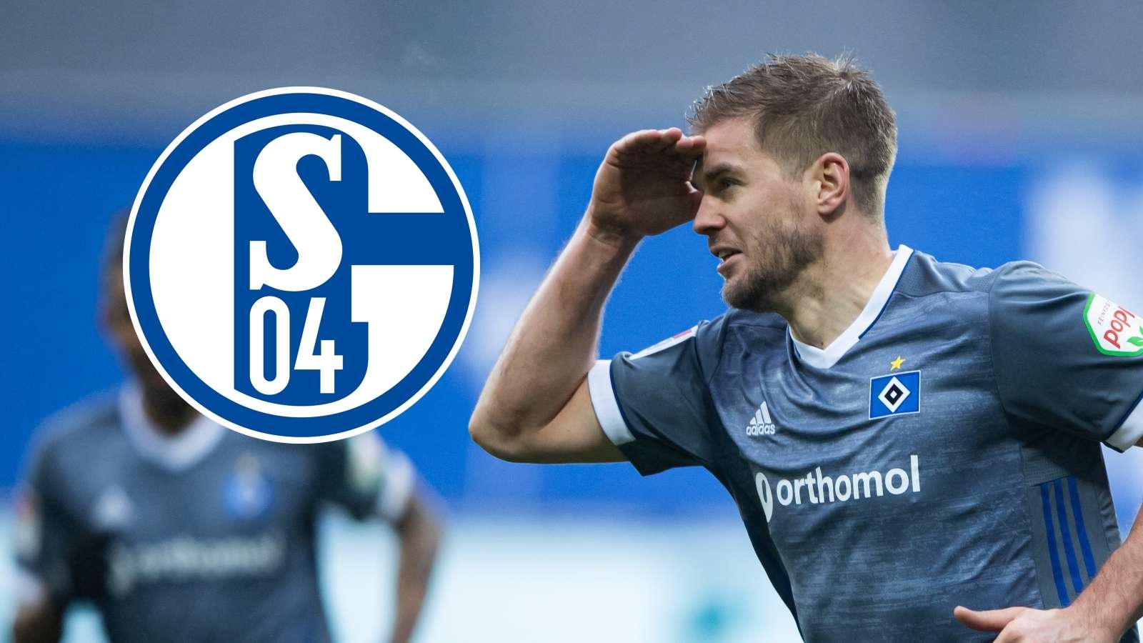 Simon Terodde Schalke Hamburger SV HSV
