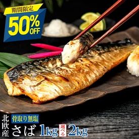 4 rakuten blackfriday 2025 1124