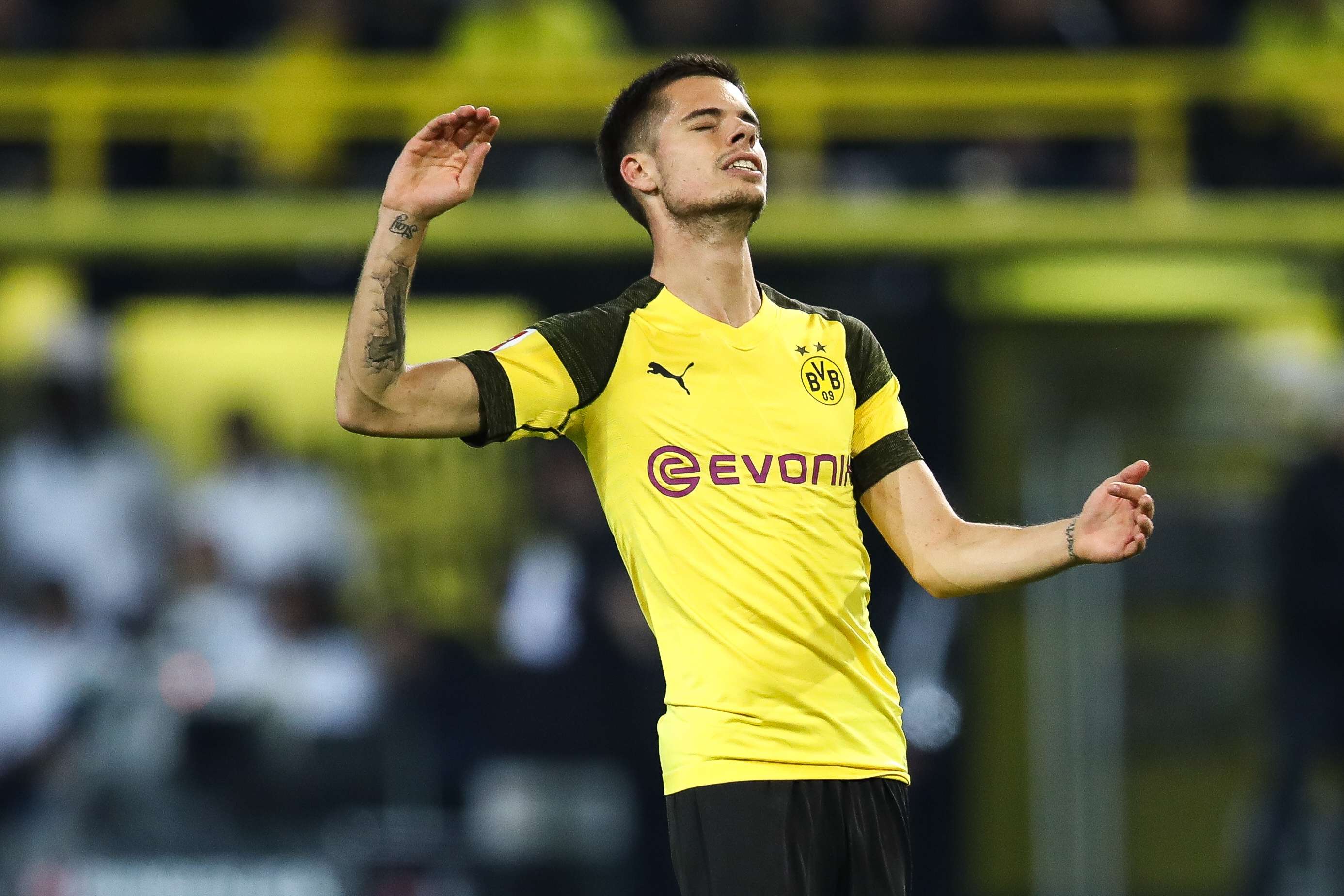 Julian Weigl Borussia Dortmund