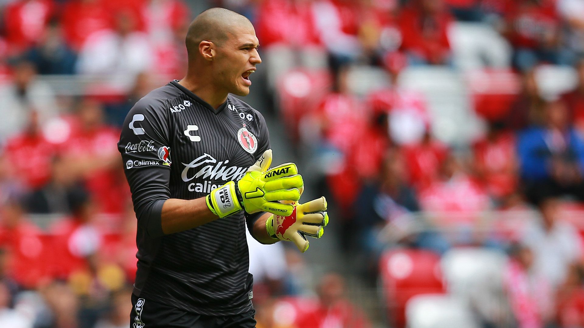 Gibran Lajud Tijuana