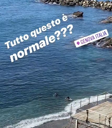 Quagliarella IG story