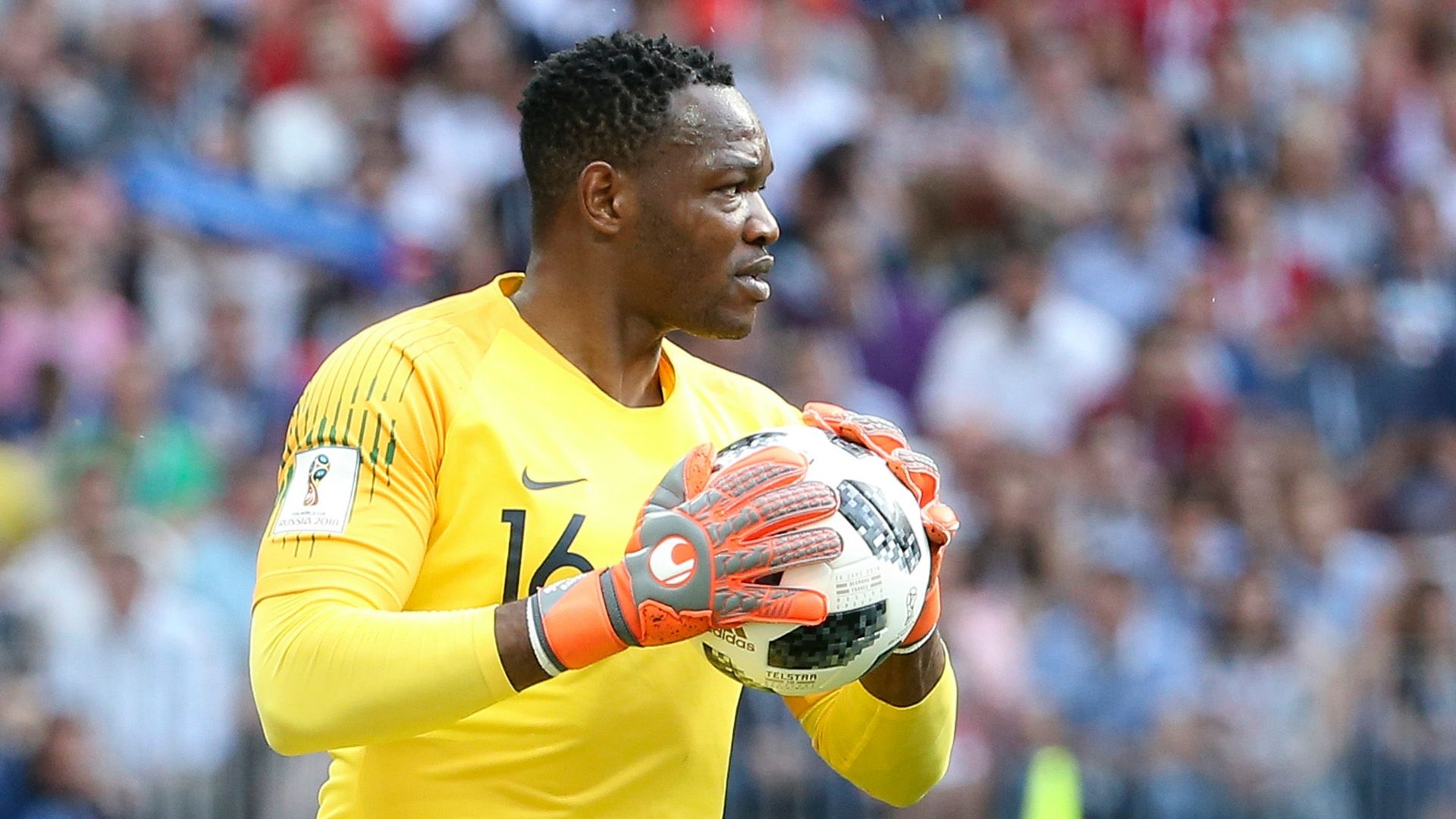 Steve Mandanda France World Cup 2018
