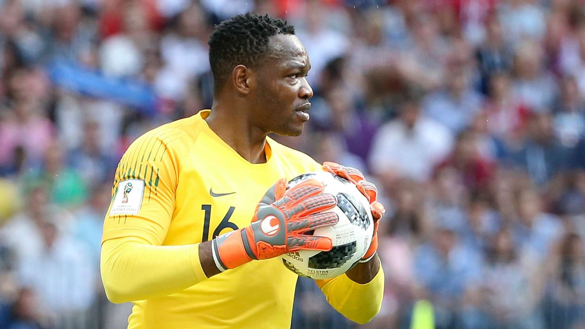 Steve Mandanda France World Cup 2018