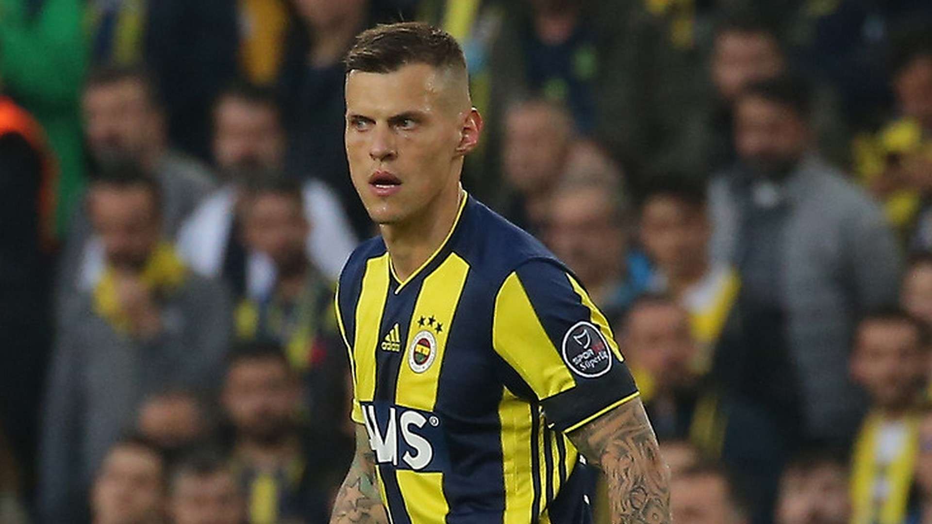 Martin Skrtel Fenerbahce