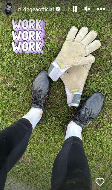 David De Gea Instagram