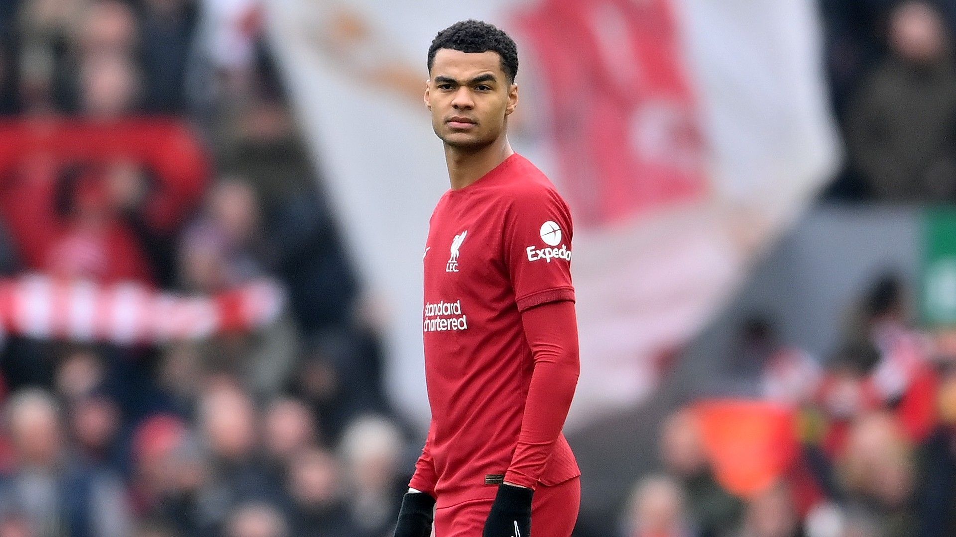 Cody Gakpo Liverpool 2022-23