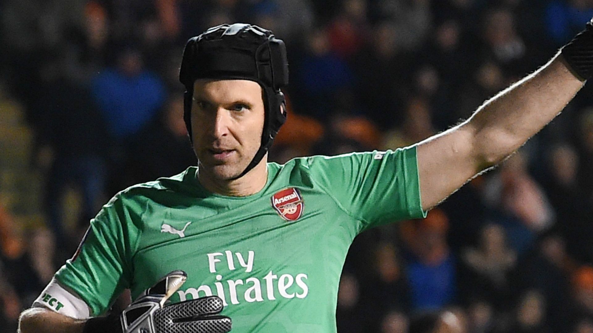Petr Cech Arsenal 2018-19