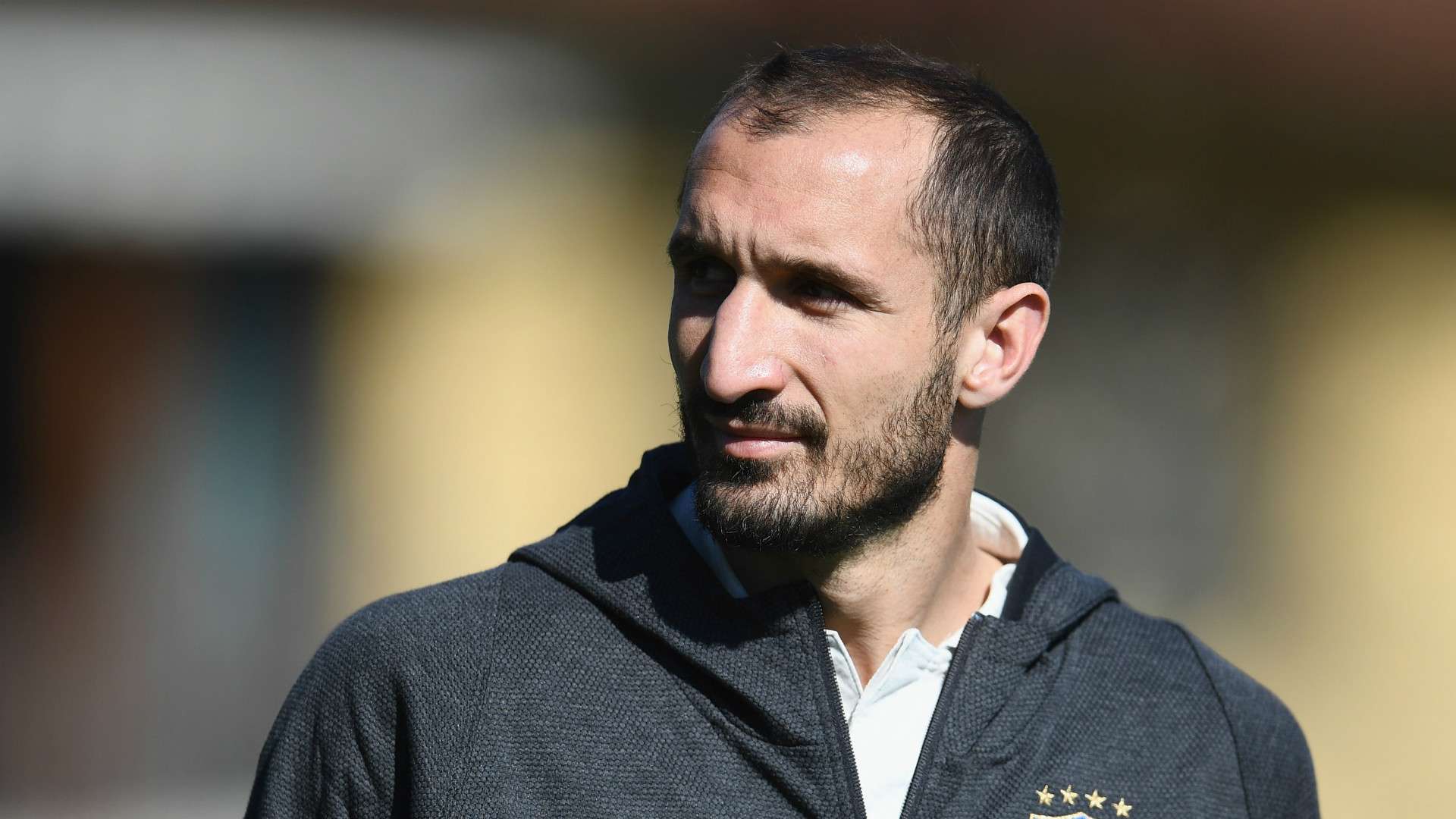 Giorgio Chiellini Italy
