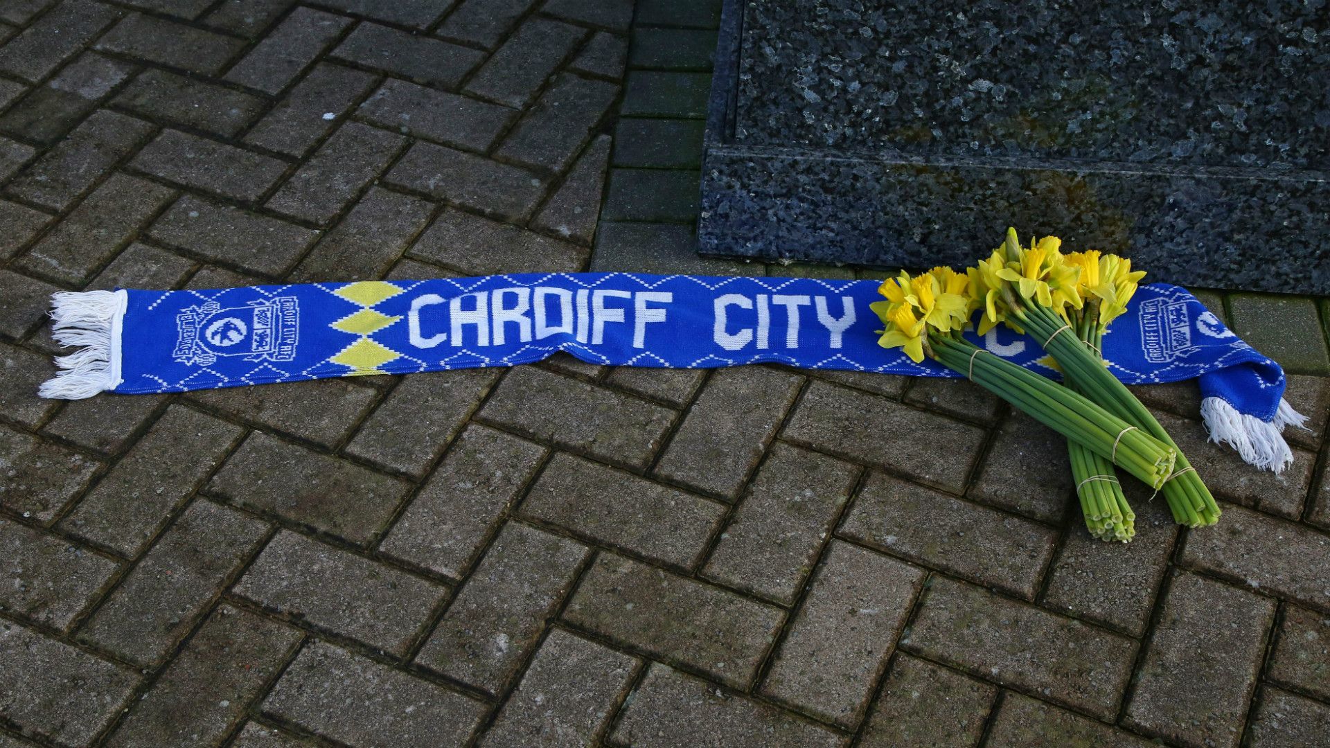 Emiliano Sala tribute