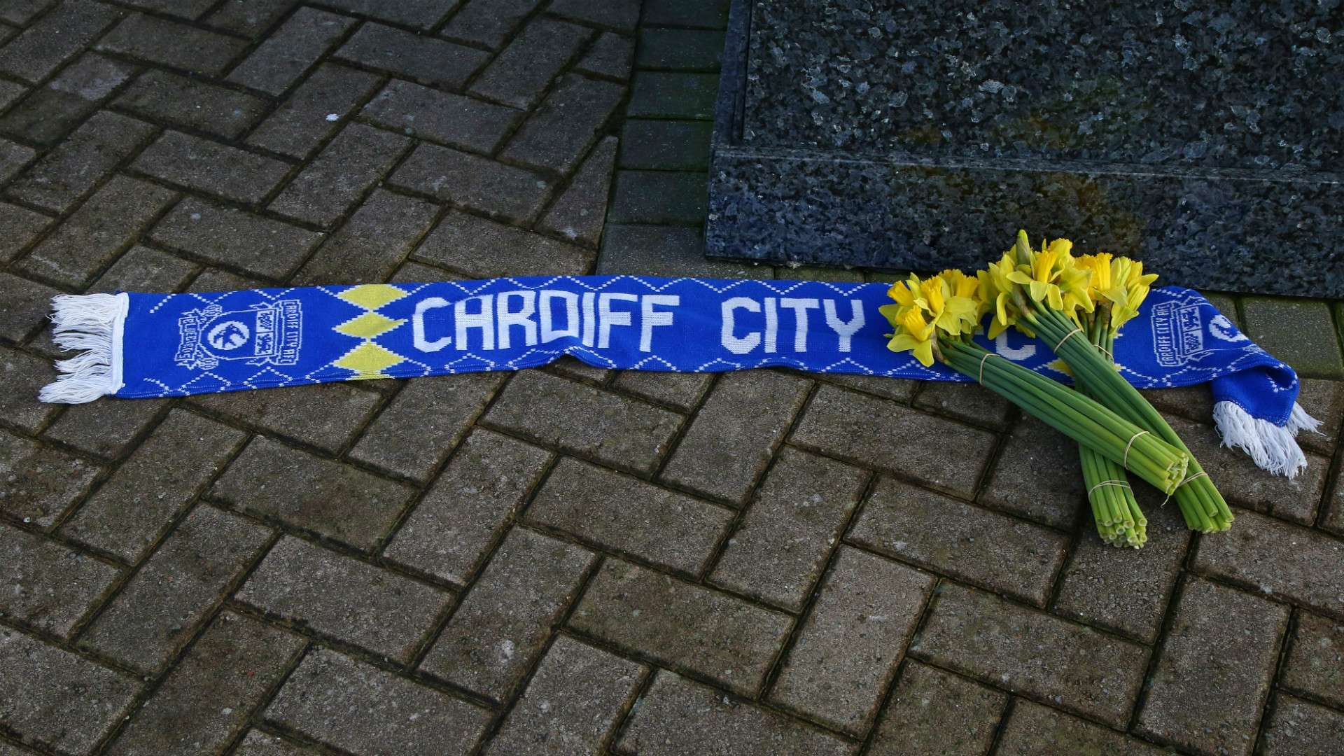 Emiliano Sala tribute