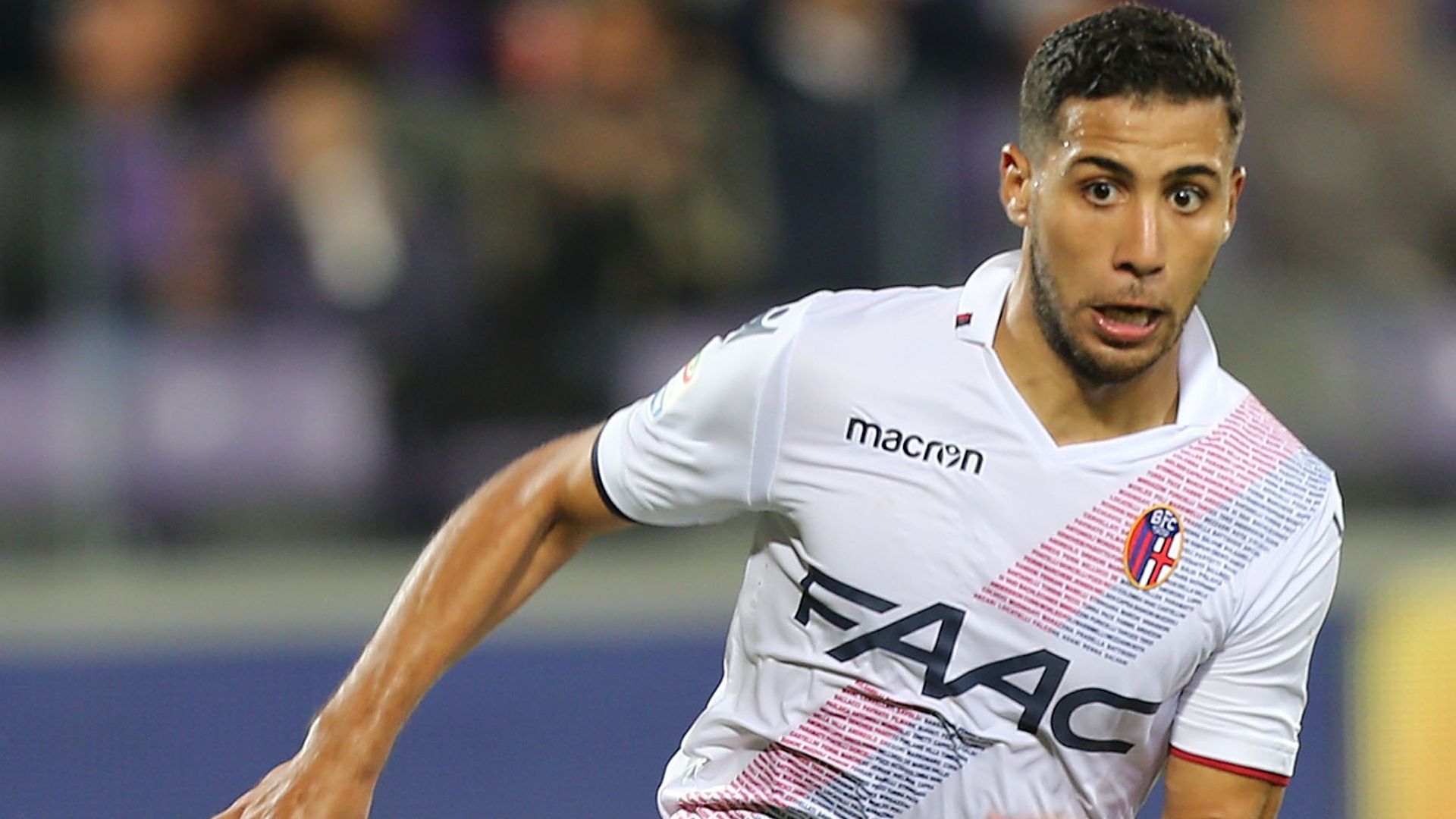 Taider Bologna