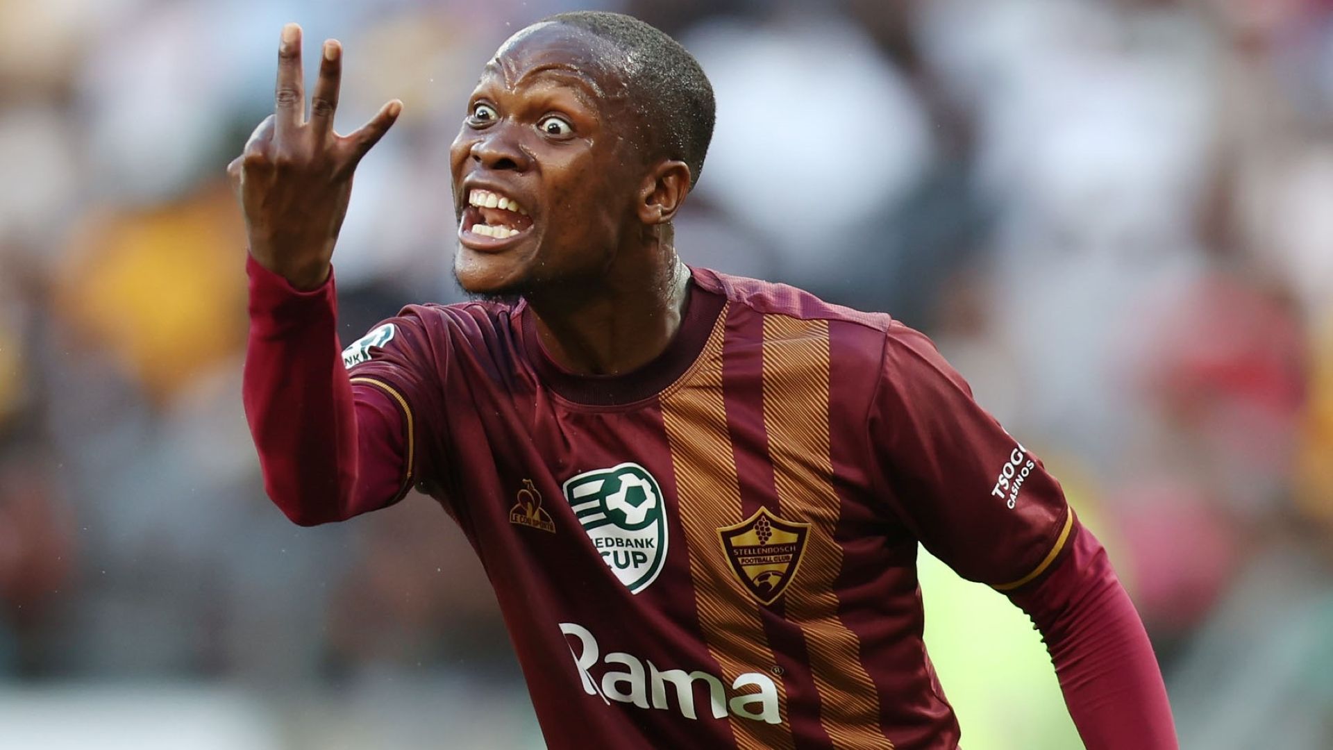 Thabo Moloisane, Stellenbosch