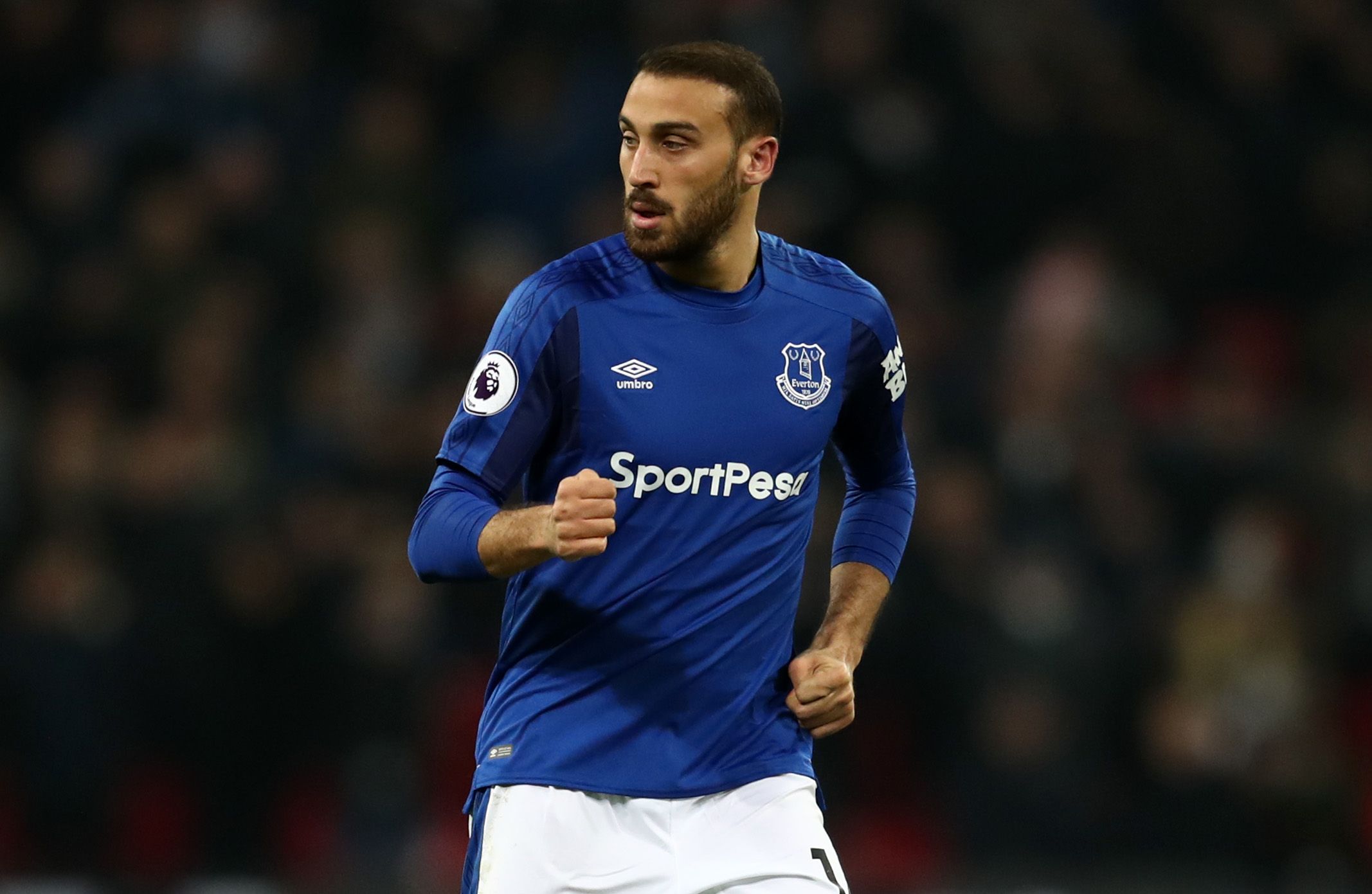 Cenk Tosun Tottenham Hotspur Everton 01/13/18