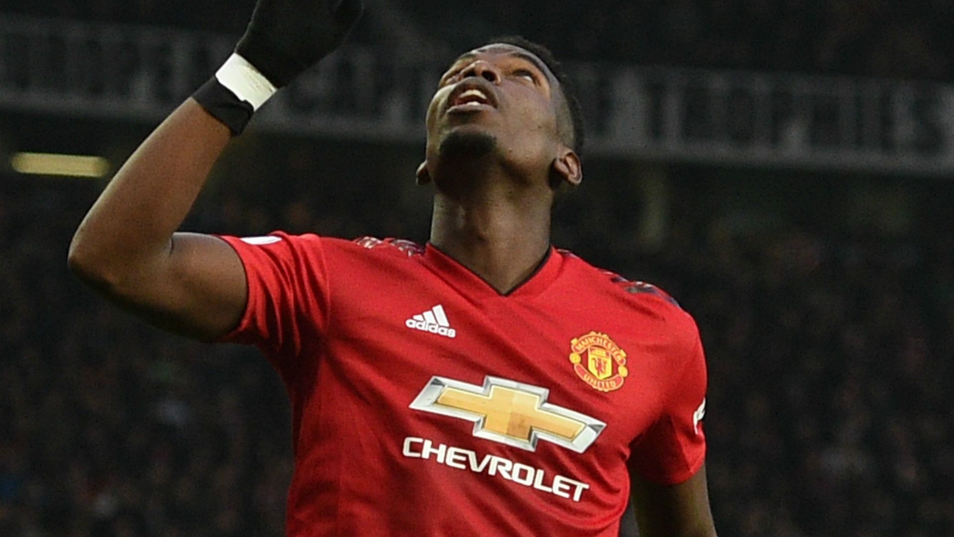 Paul Pogba Manchester United 2018-19