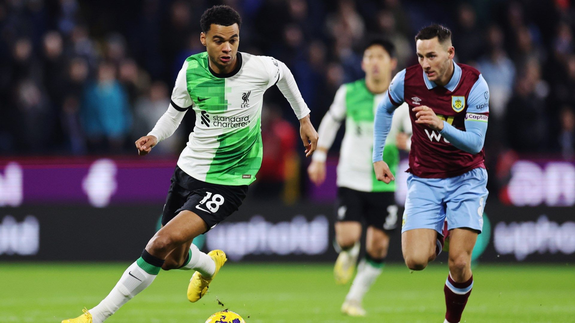 Cody Gakpo Liverpool 2023-24