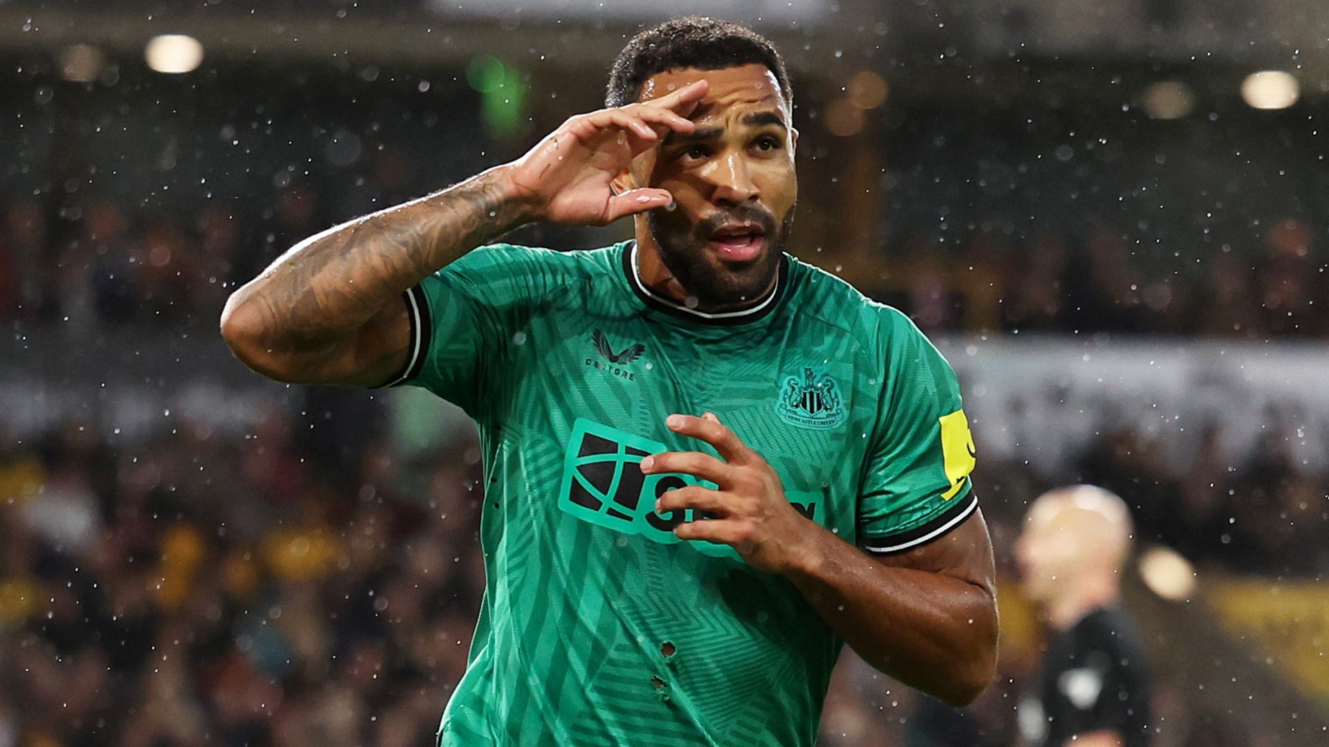 Callum Wilson Newcastle 2023-24