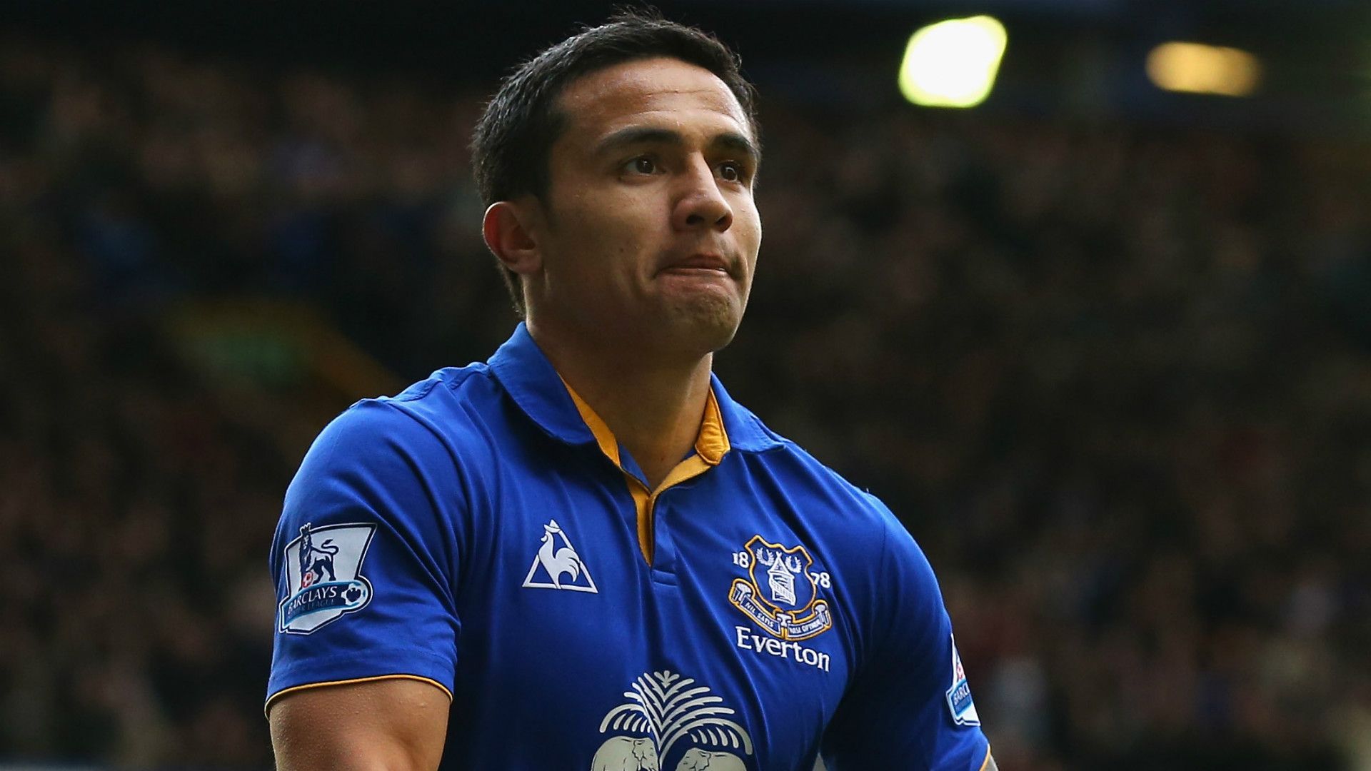 Tim Cahill Everton Premier League