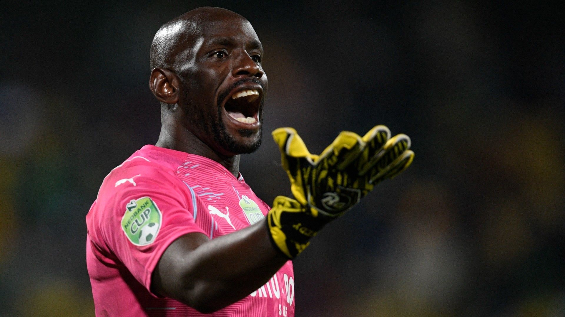 Kennedy Mweene, Mamelodi Sundowns