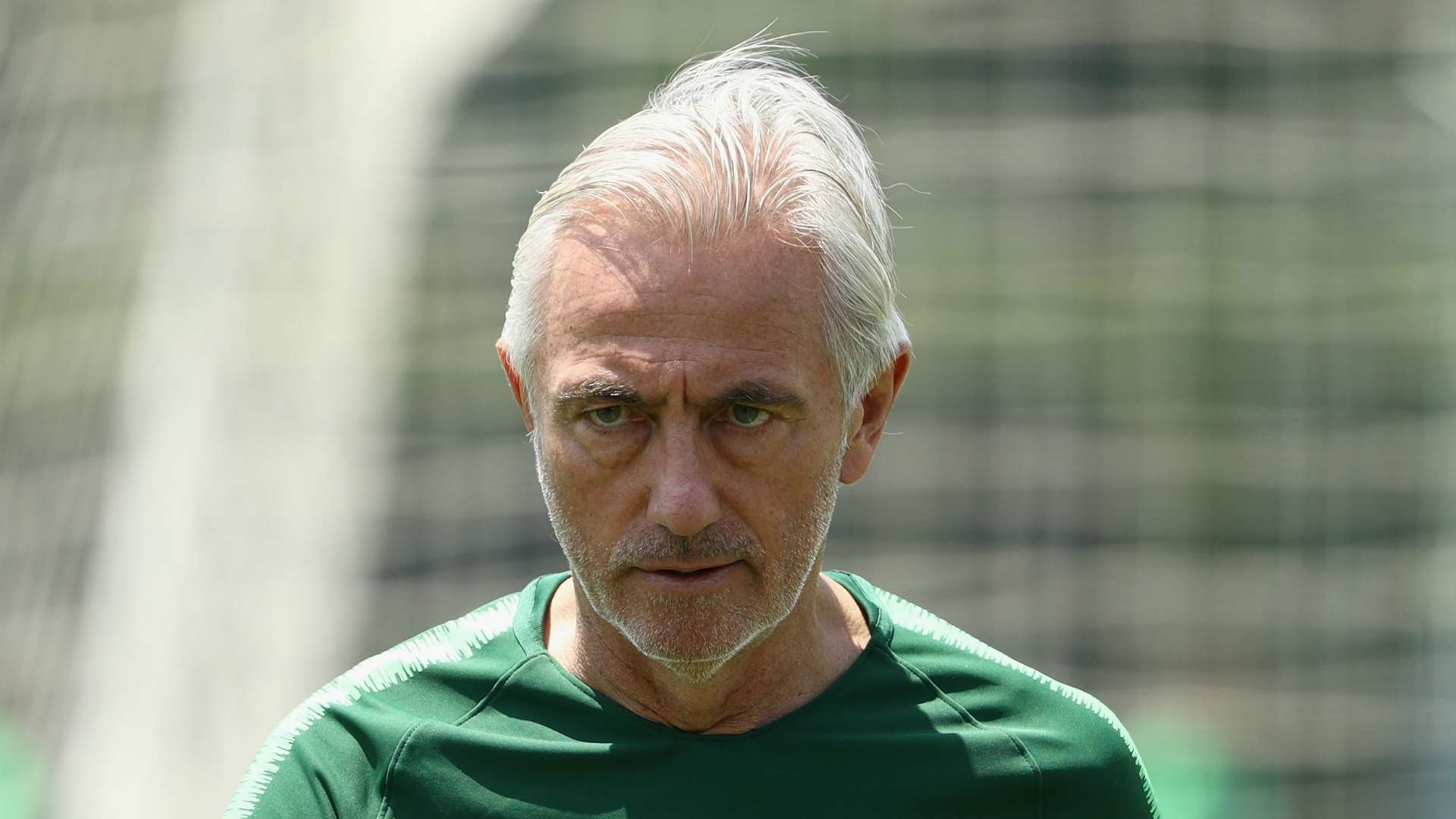 Bert van Marwijk Socceroos