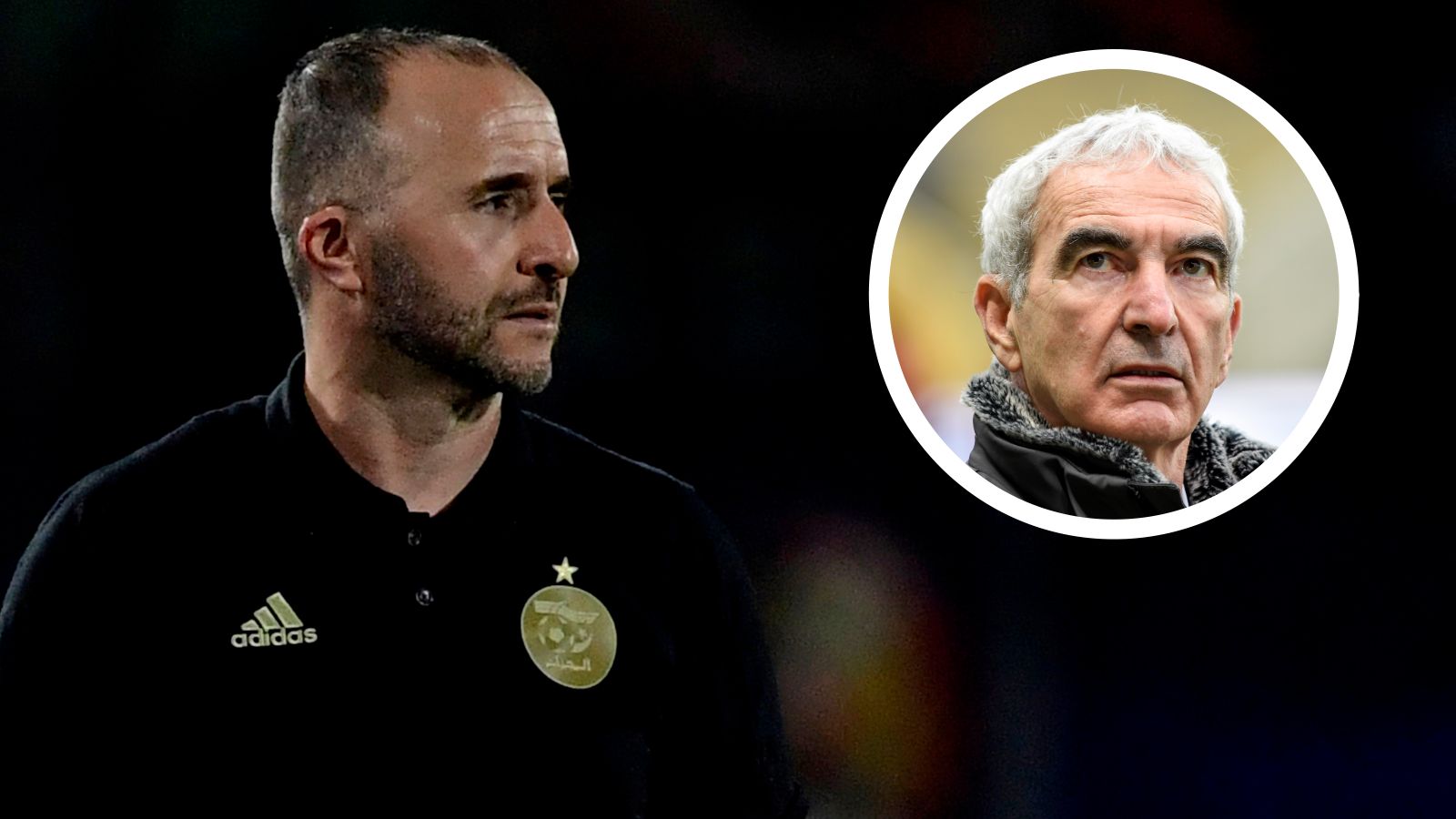 Djamel Belmadi Raymond Domenech
