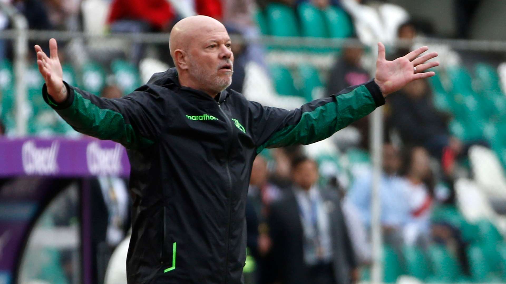 Antônio Carlos Zago