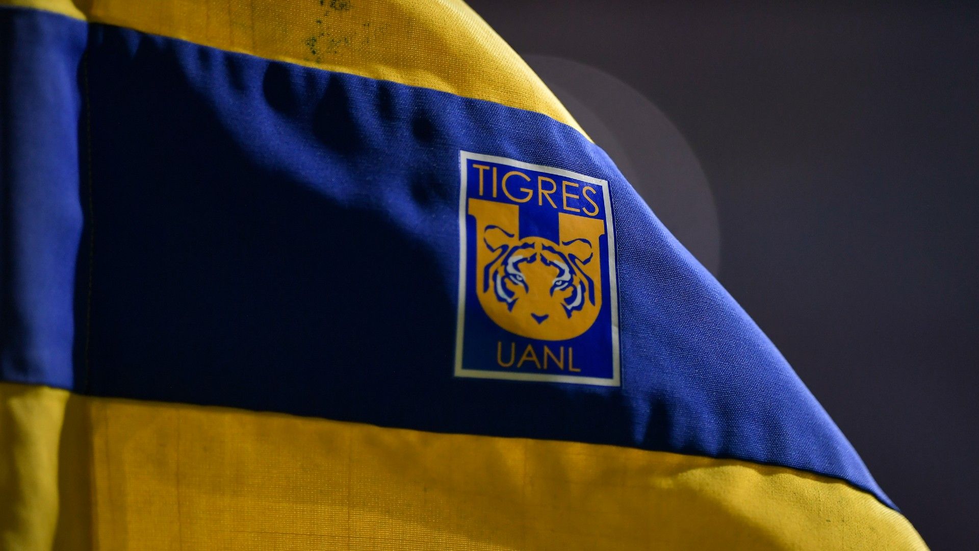 Tigres logo