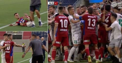 Holender Filip Vasas