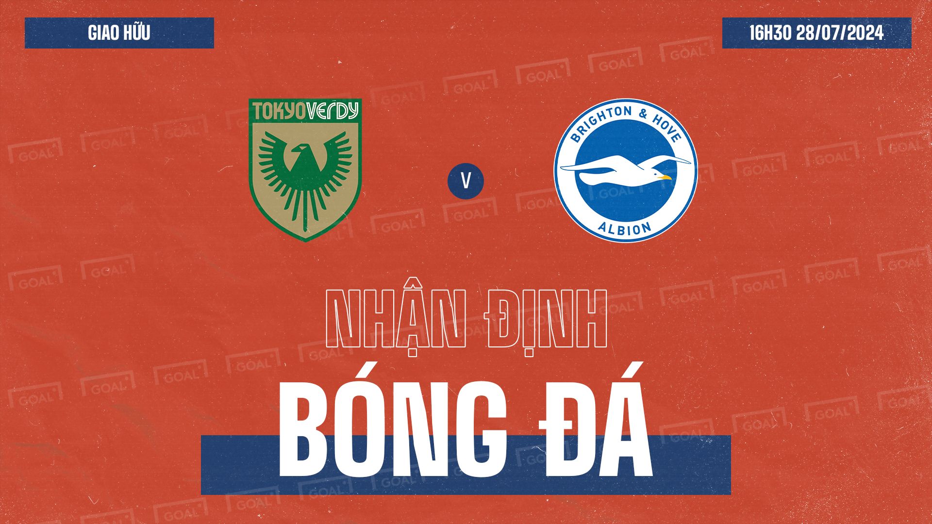 Tokyo Verdy vs. Brighton & Hove Albion Club Friendlies GFX