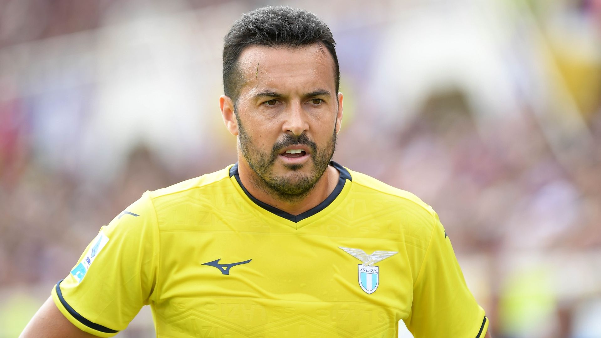 Pedro Lazio 2024-2025