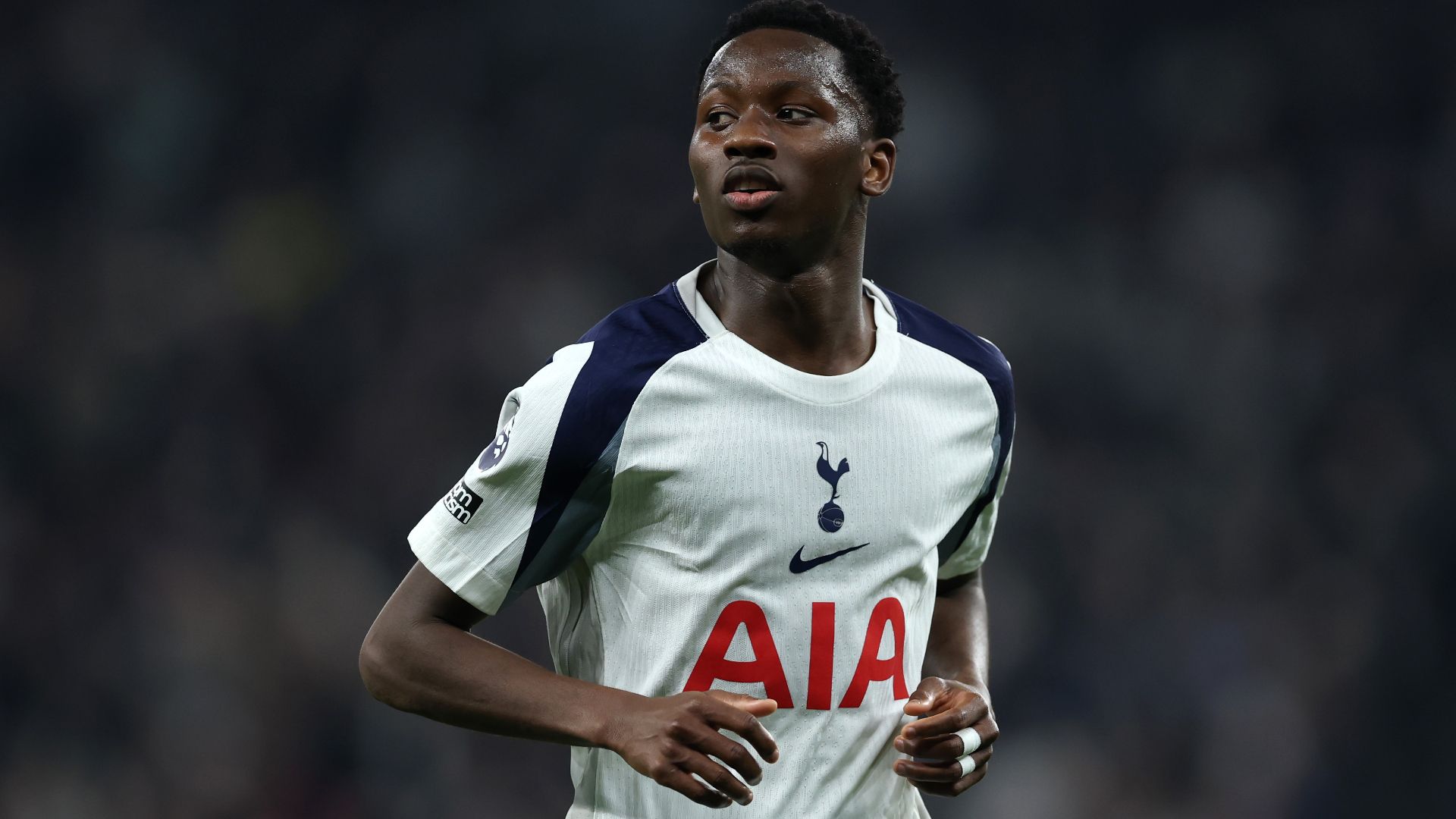 Pape Sarr Tottenham