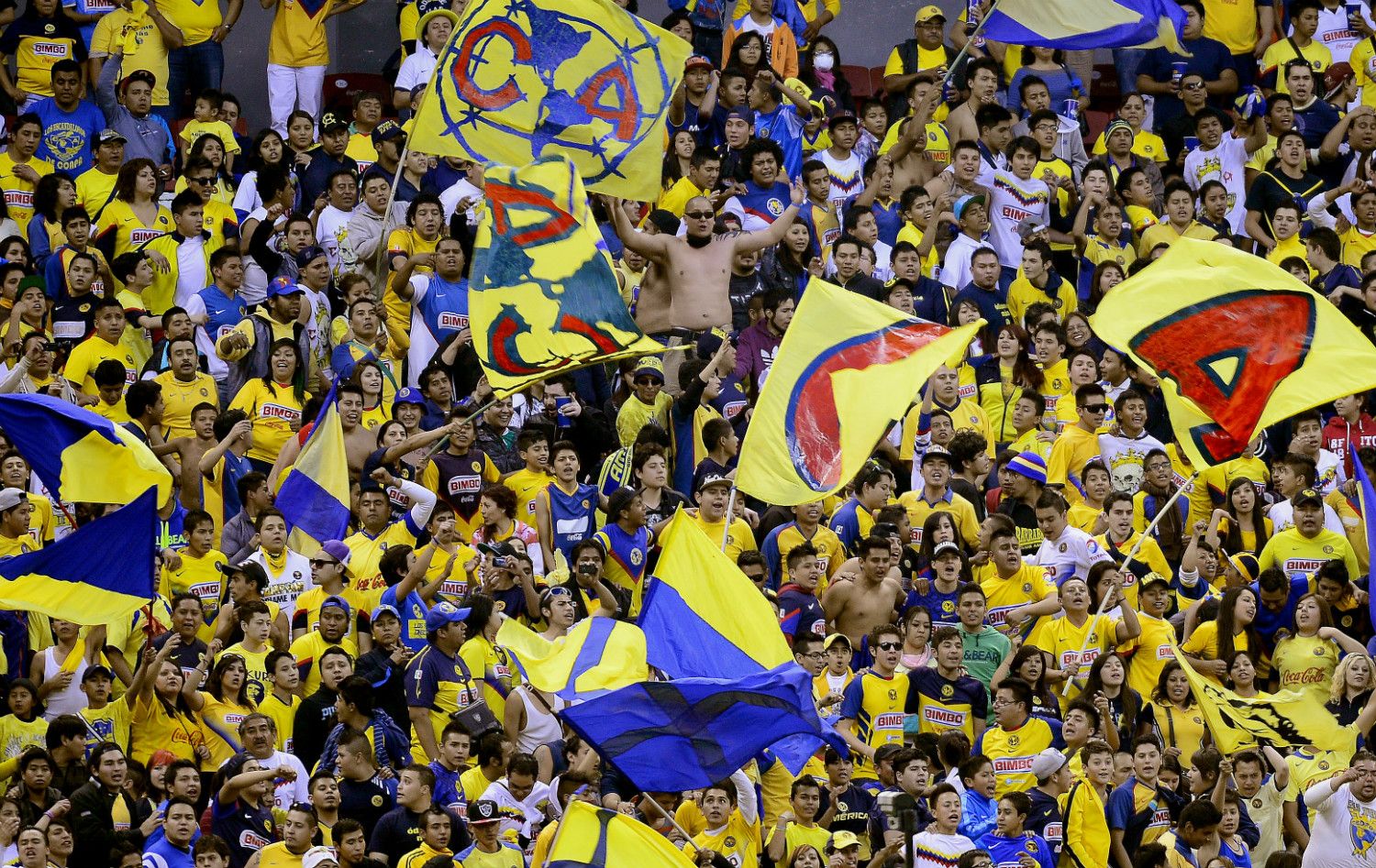 Afición de América