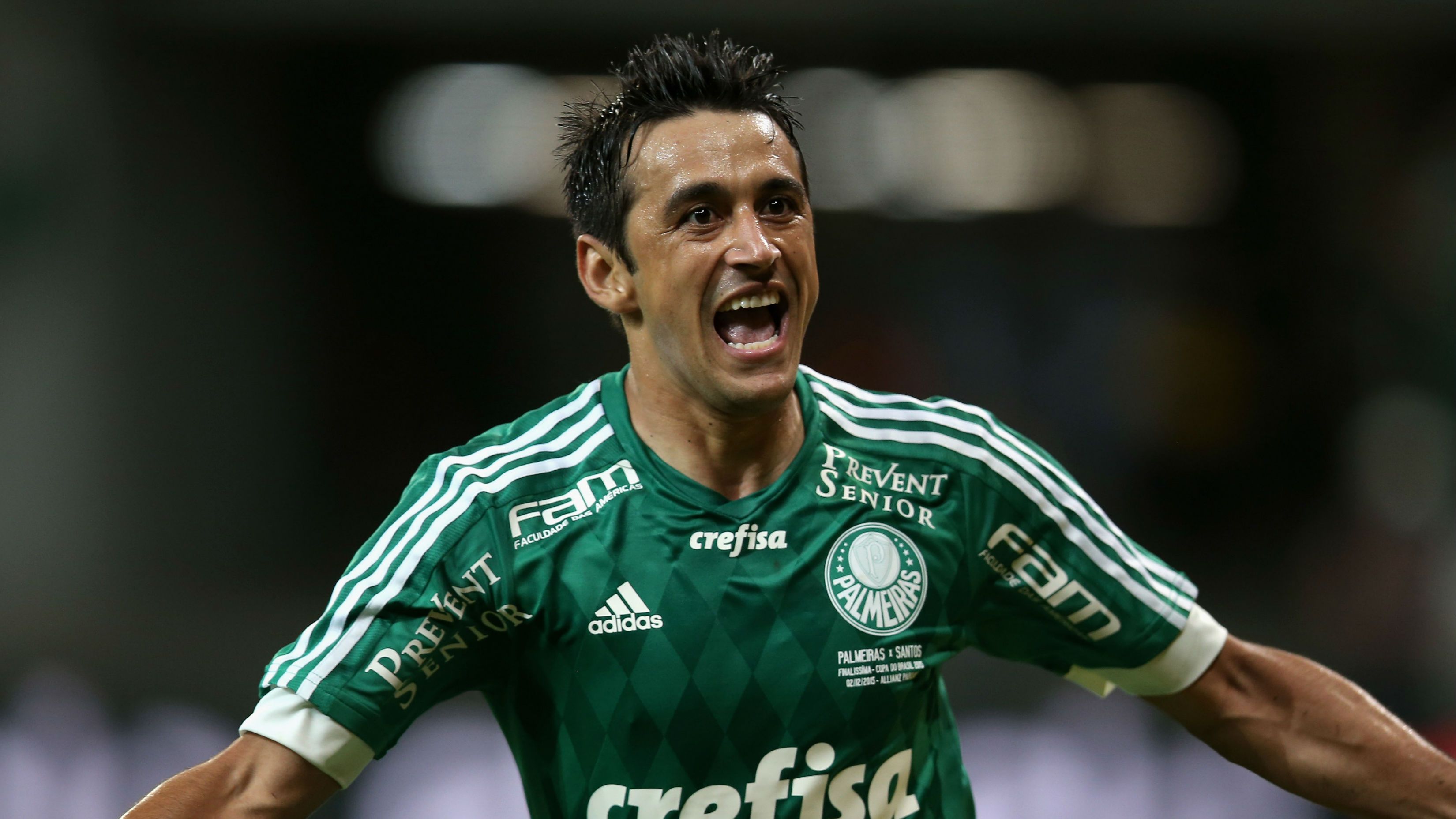 Robinho Palmeiras 02122015