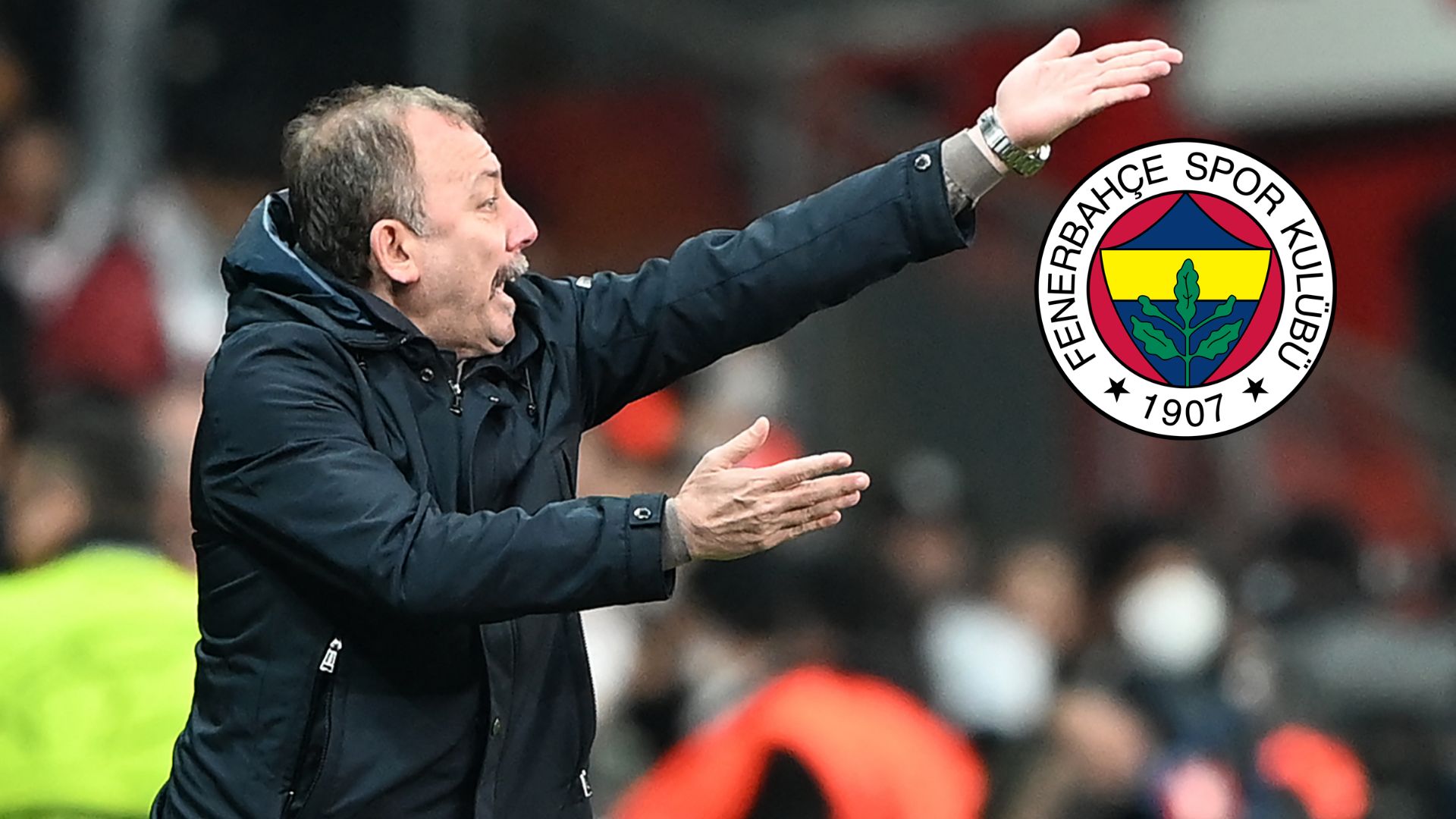 Sergen Yalçın, Fenerbahçe
