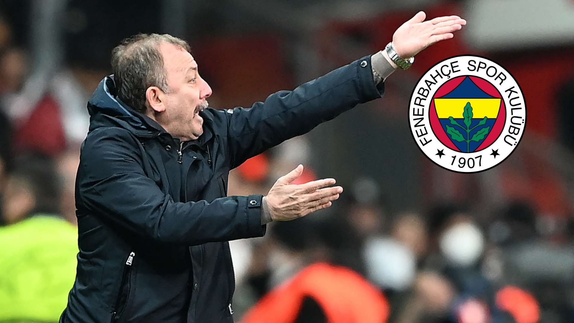 Sergen Yalçın, Fenerbahçe