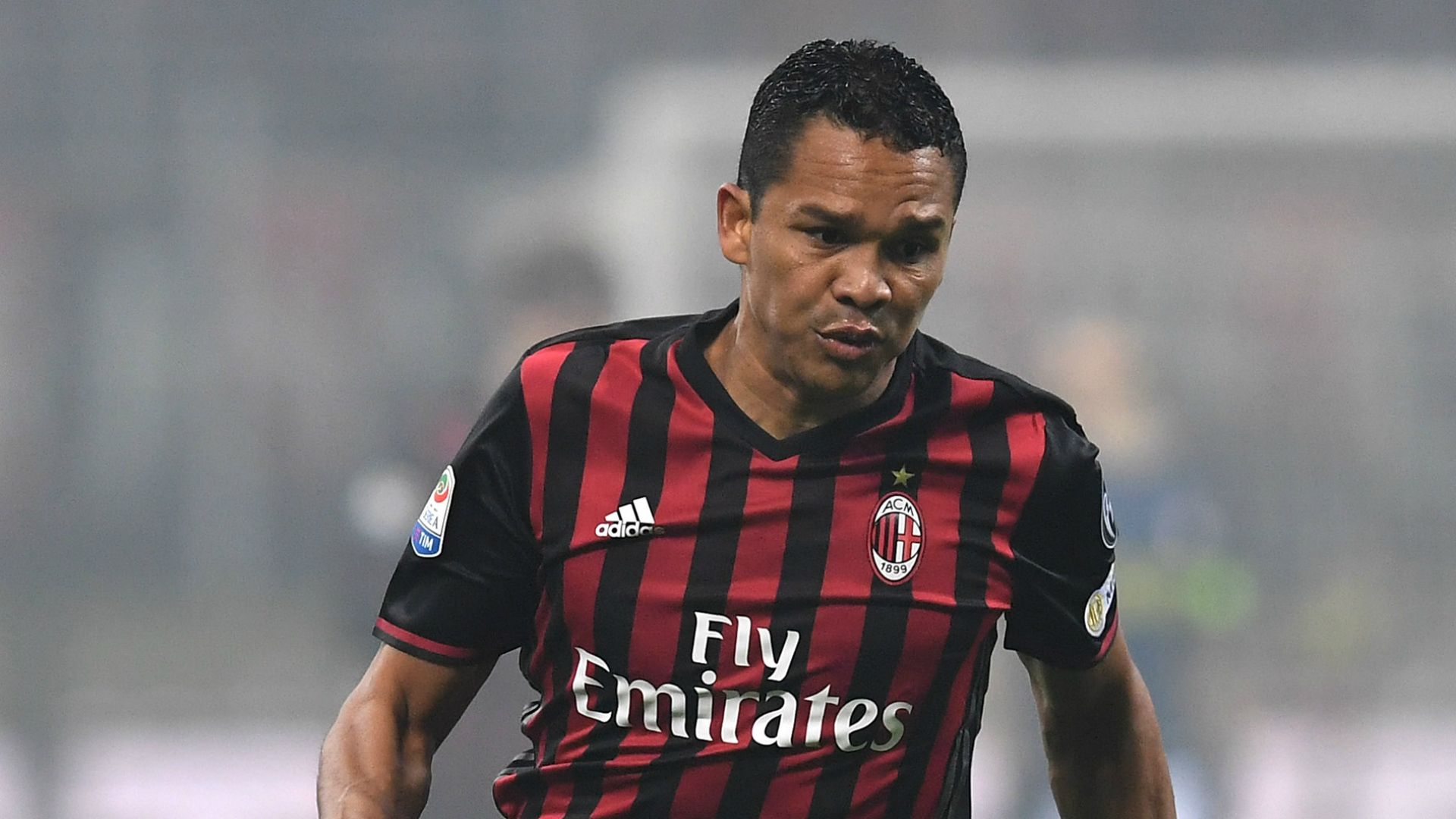 Bacca - Cropped