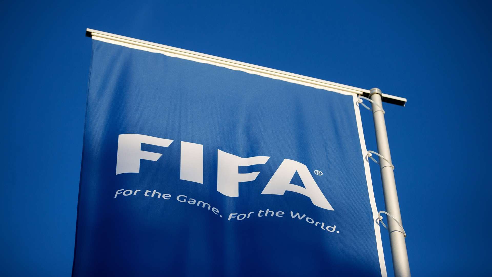 FIFA Logo Fahne 06022015