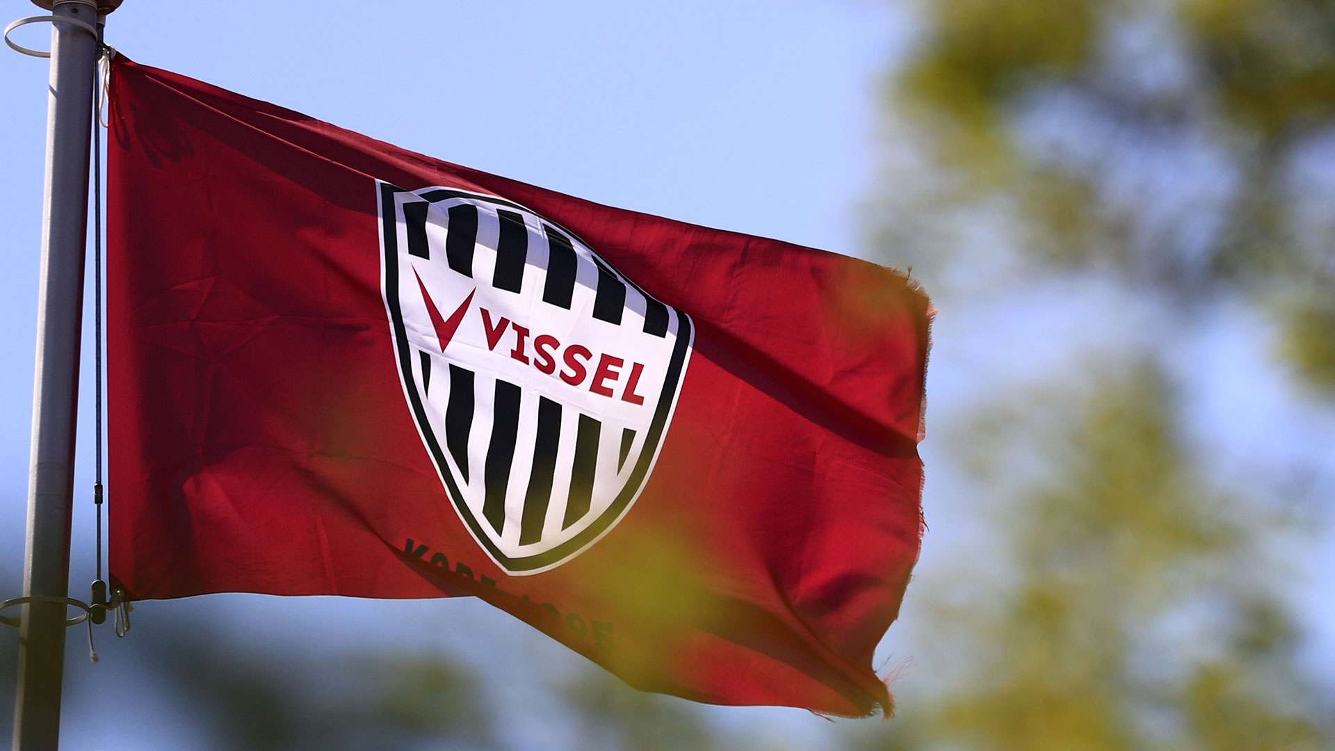 vissel_1920