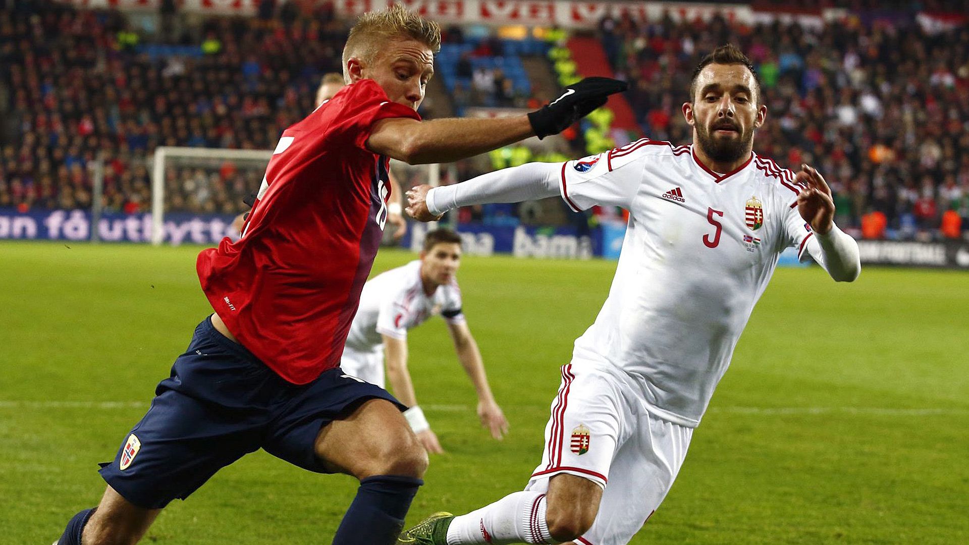 Ungarn Norwegen EURO 2016 11122016