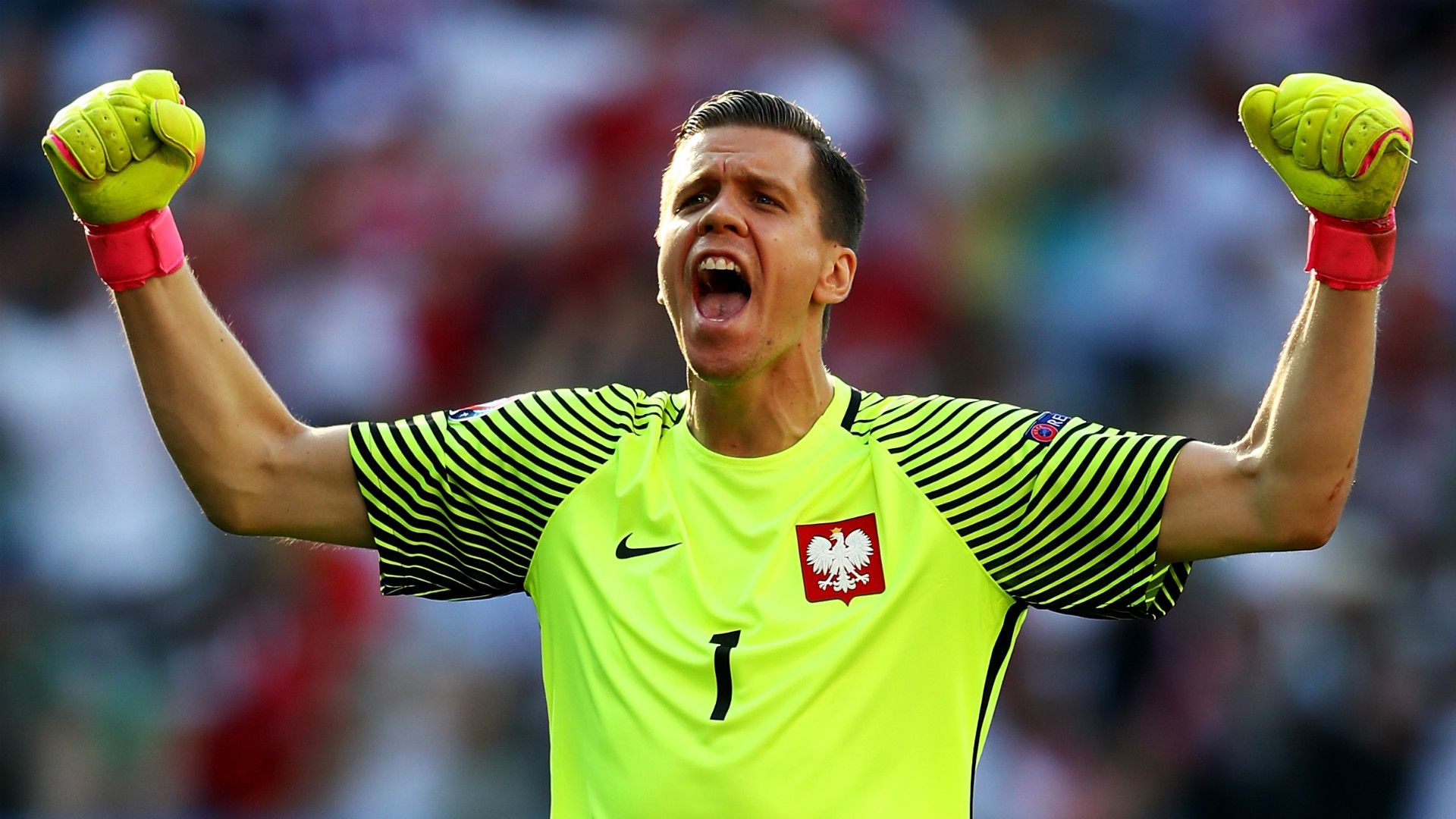 Wojciech Szczesny Poland