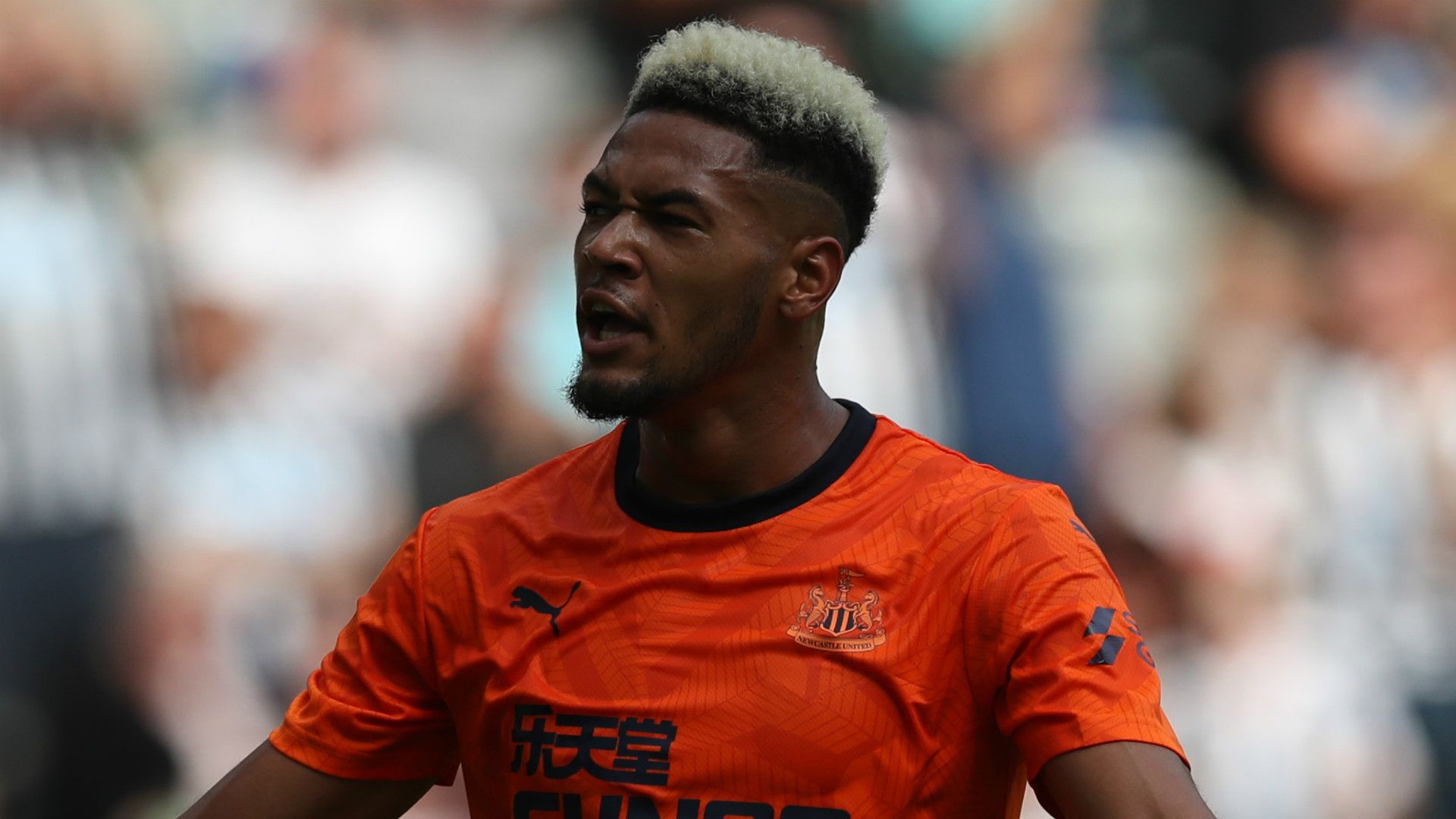 Joelinton Newcastle 2019-20
