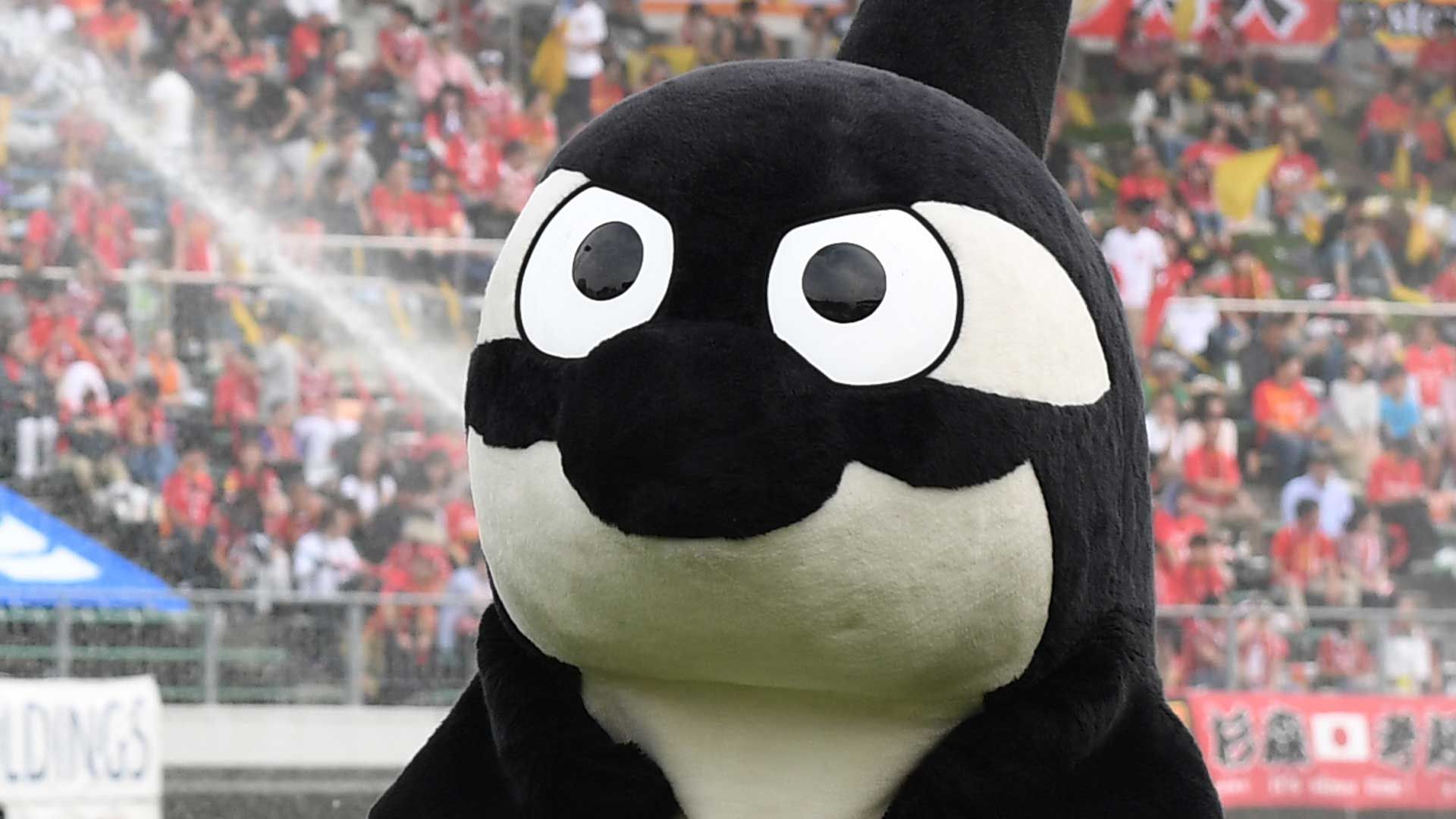 2018-02-10-nagoya-mascot