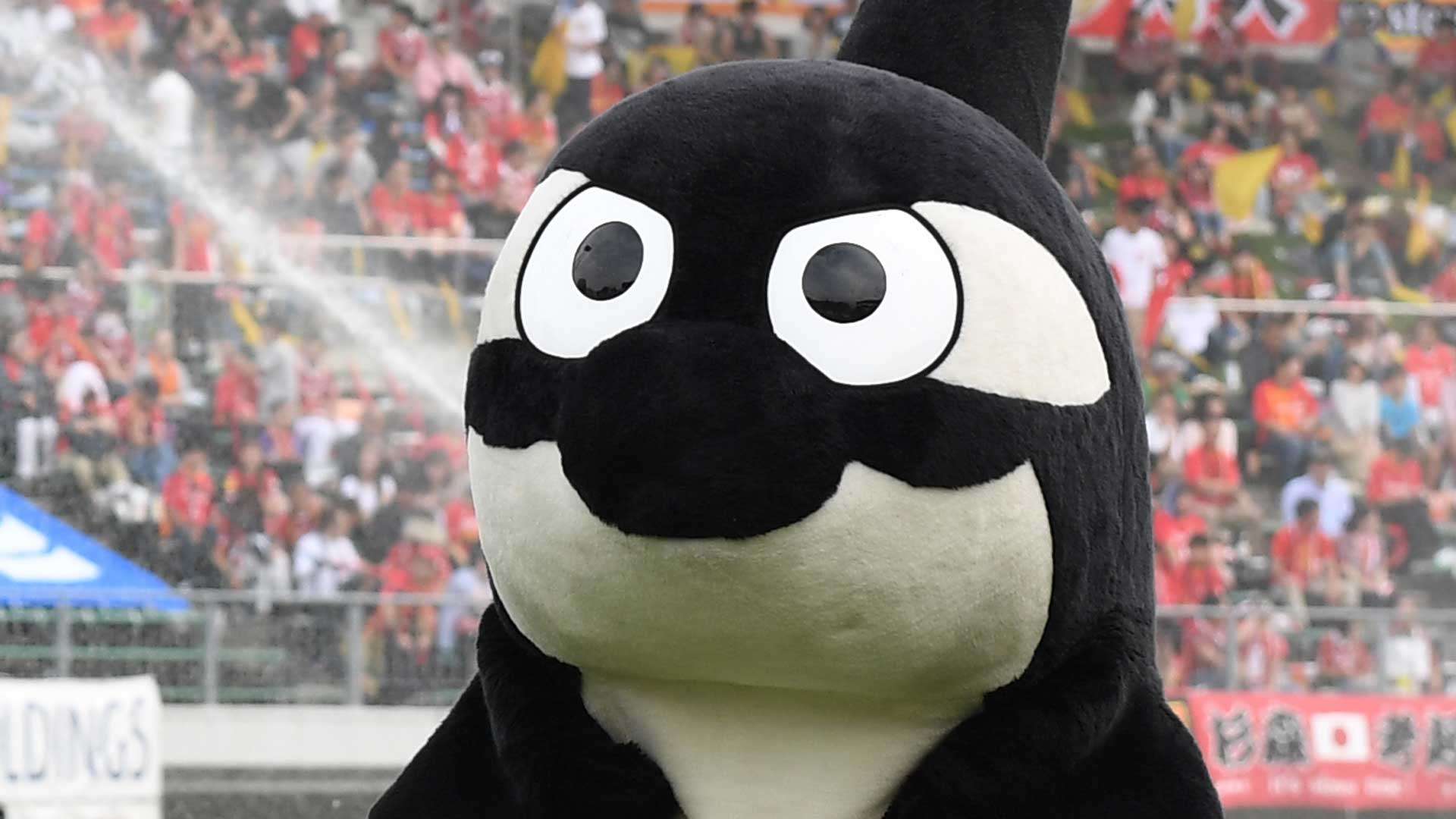 2018-02-10-nagoya-mascot