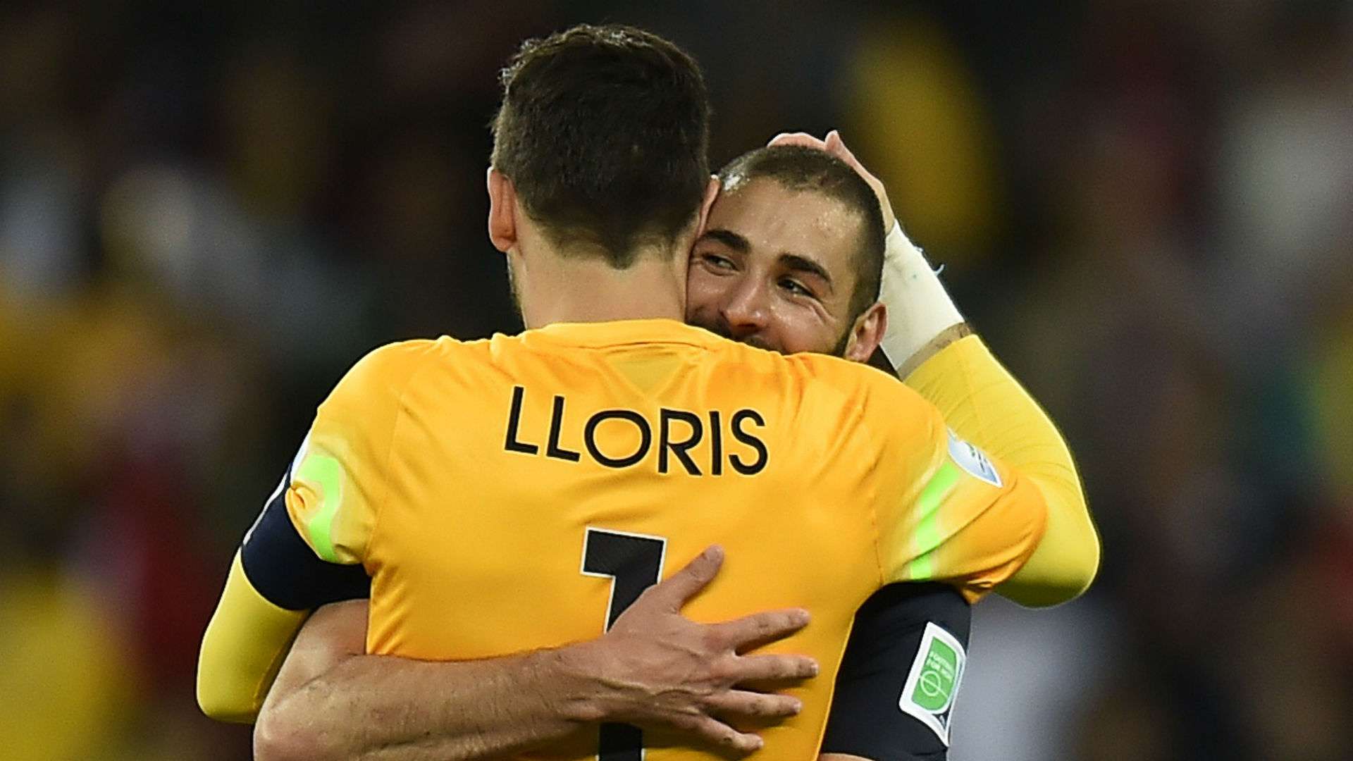 Lloris and Benzema - cropped