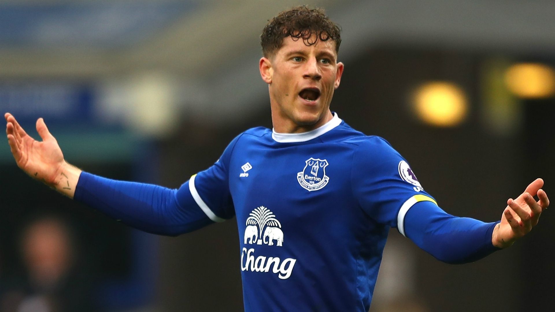 Barkley - Cropped