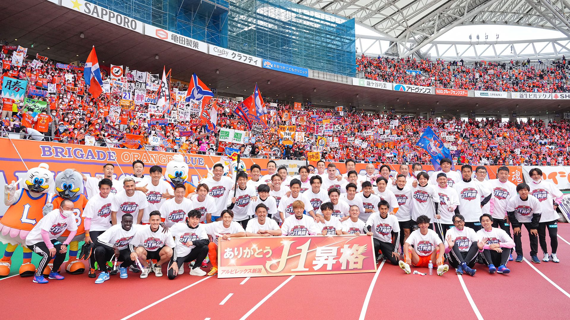 アルビレックス新潟　J1昇格記念 新潟、6年ぶりのJ1昇格が決定！ 3発で仙台を下して2位以上確定 | Goal